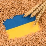 Import zboża z Ukrainy