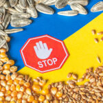 Zakaz importu zboża z Ukrainy